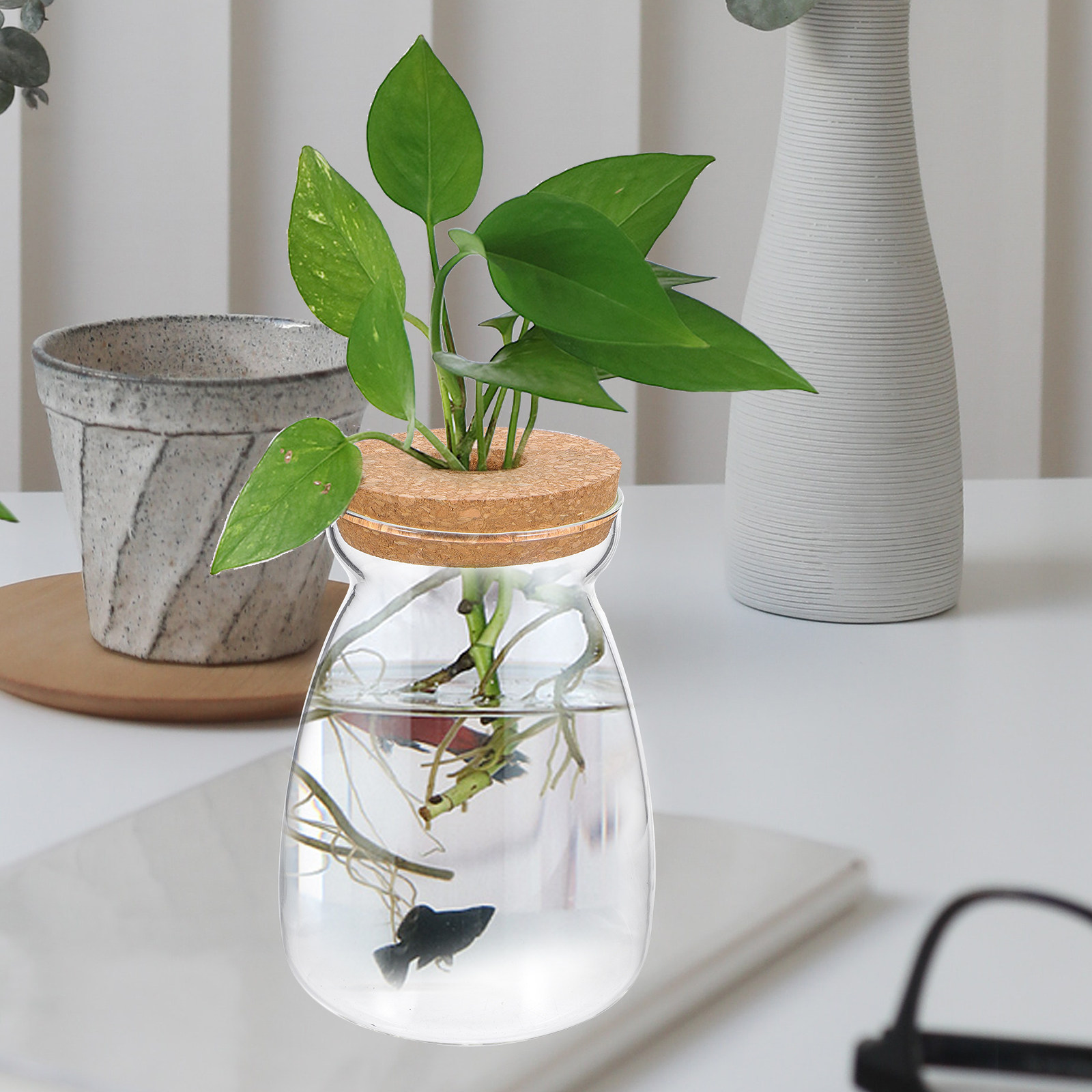 Aquarium Plant Gravel - Glass Terrarium Jar Transparent Ecosystem Container