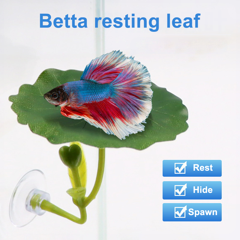Planted Aquarium Betta - 1 Pc Green Leaf Hammock For