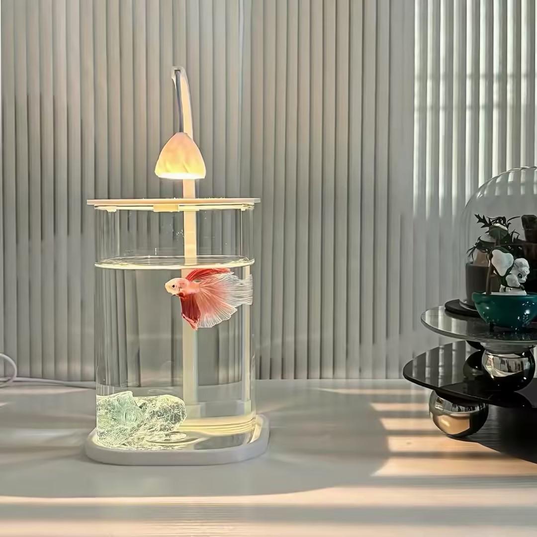 Planted Aquarium Betta - 360° Panoramic Clear Desktop Fish Tank