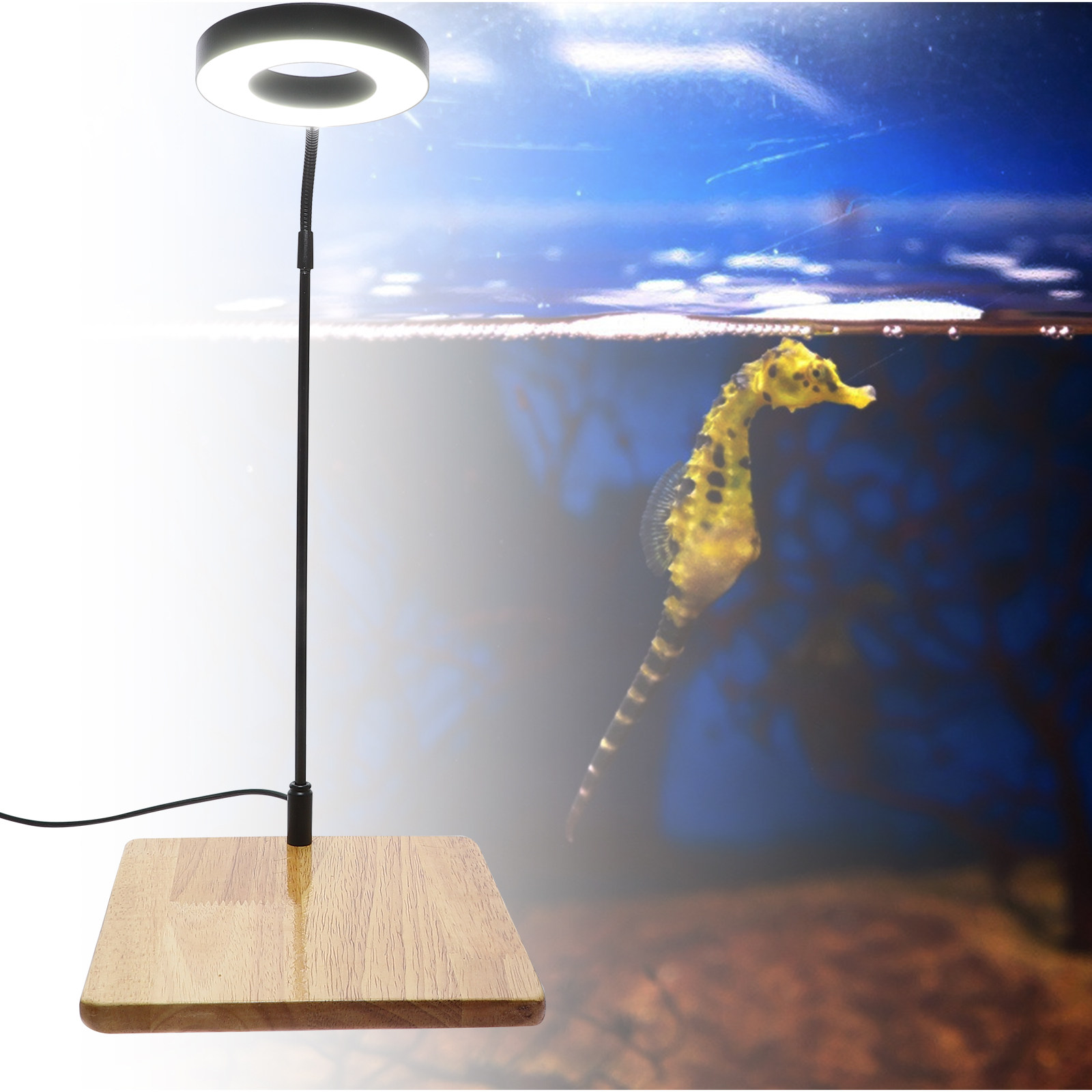 Aquarium Planted Fish Tank - 1Pcs Aquarium Fill Light High Brightness