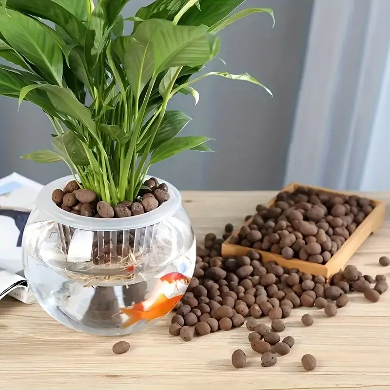 Lightweight & Breathable Terra - Aquarium Planted Plants ulasan dan harga