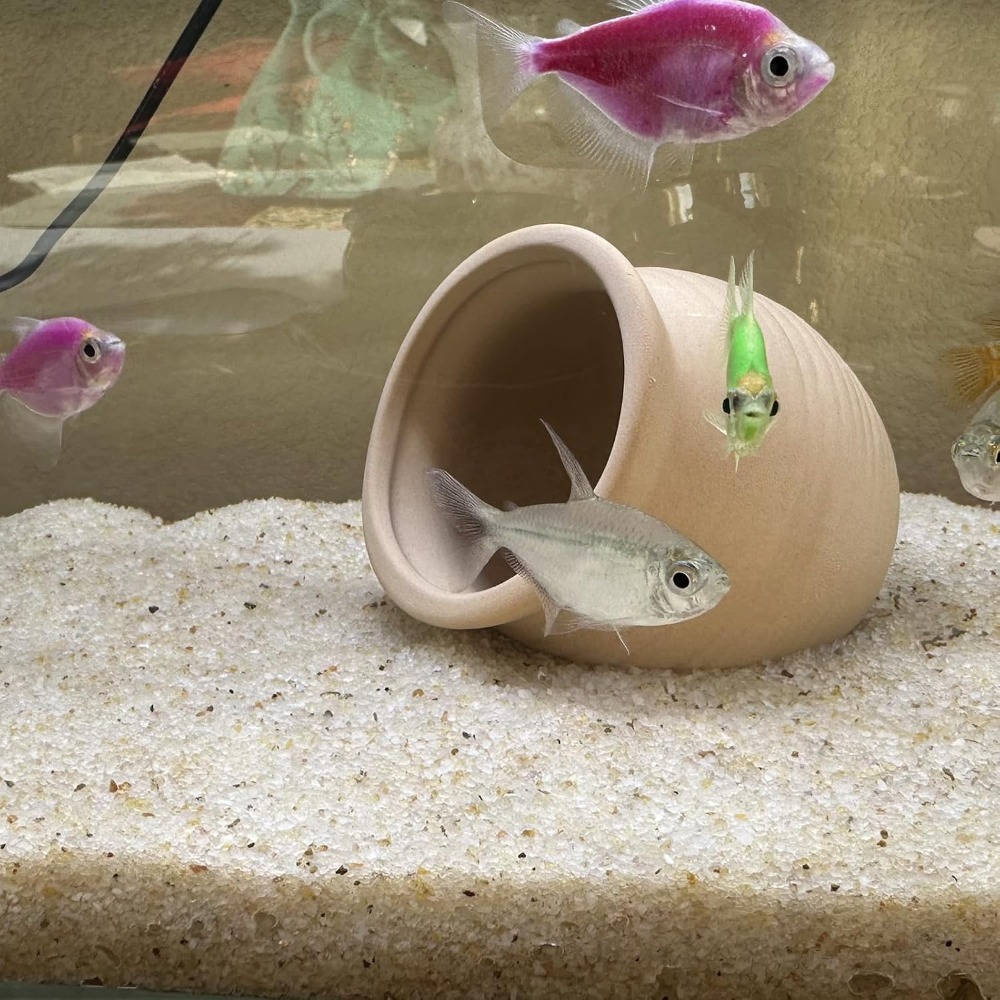 2lbs Beige Aquarium Sand, Fish - Aquarium Plant Gravel ulasan dan harga