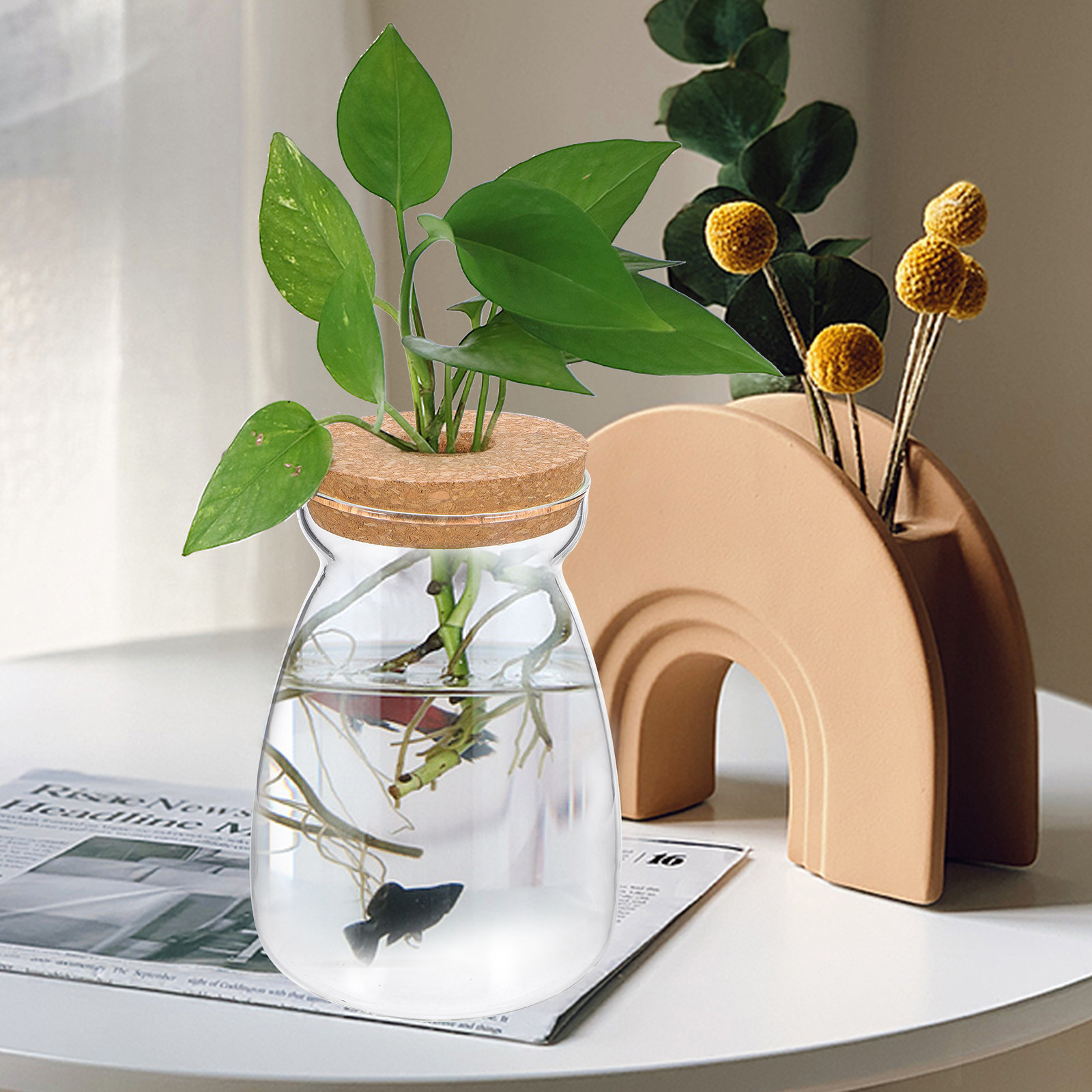 Glass Terrarium Jar Transparen - Aquarium Plant Gravel ulasan dan harga