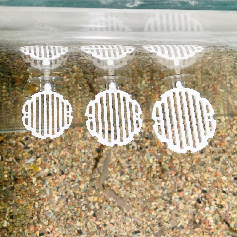 Plastic Fish Tank Aquarium Art - Planted Aquarium Betta ulasan dan harga
