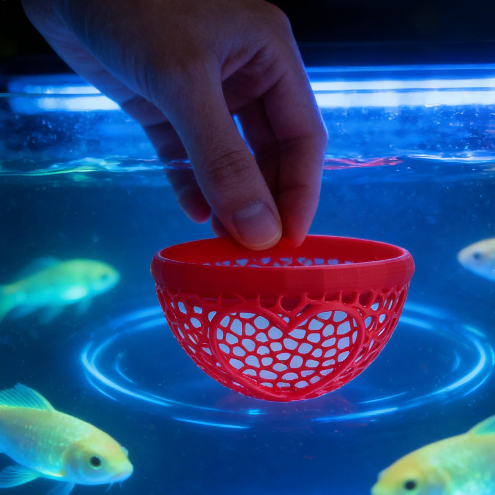 Floating betta shelter Betta h - Planted Aquarium Betta ulasan dan harga