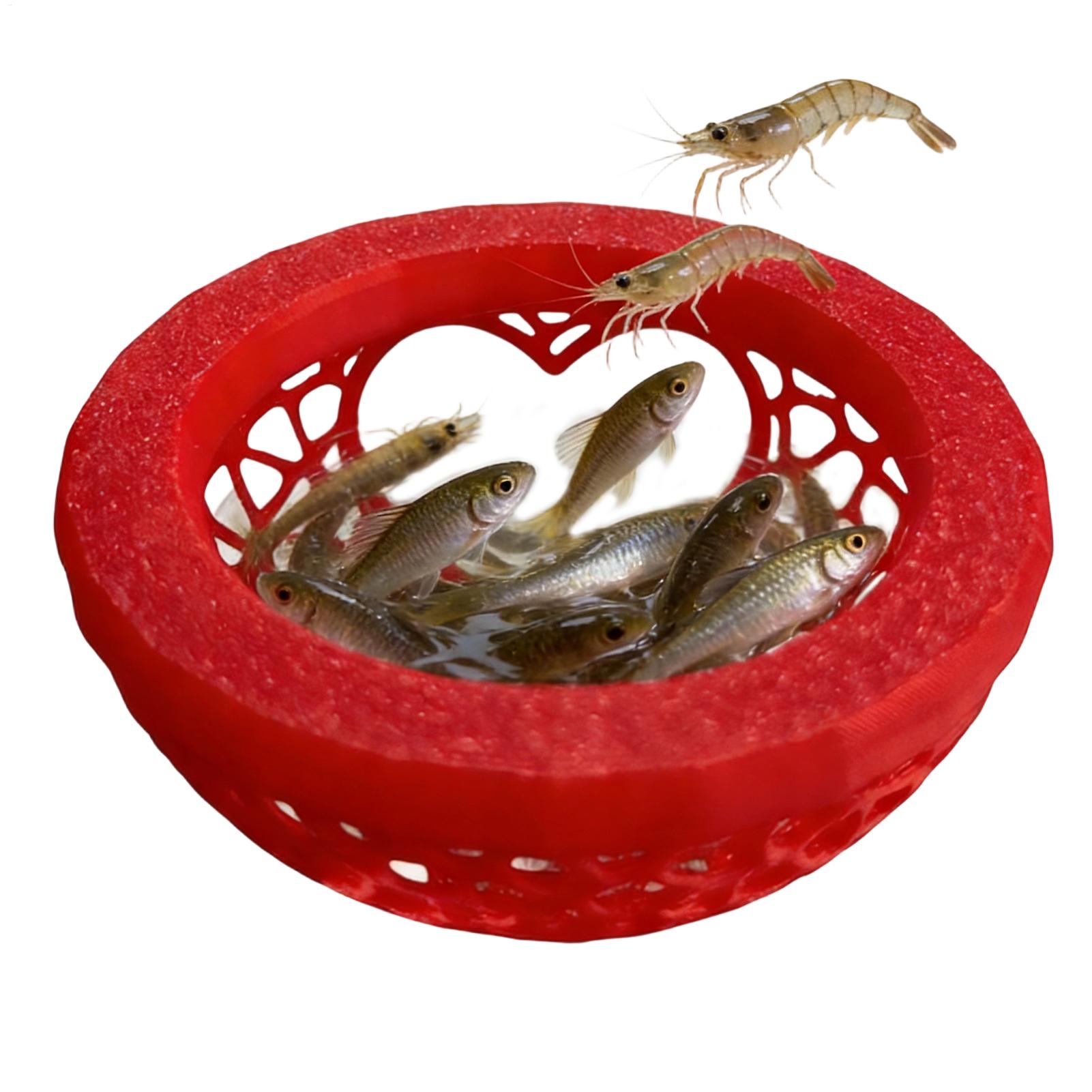 Floating betta shelter Betta h - Planted Aquarium Betta ulasan dan harga