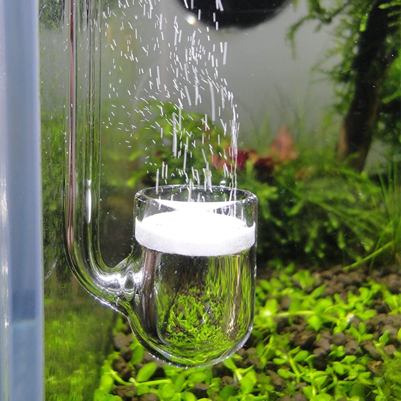 D0AD Glass CO2 Diffuser for Aq - Aquarium Plant Design ulasan dan harga