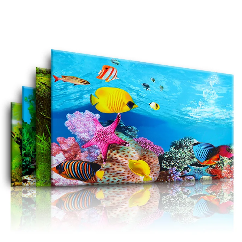 Background for Aquarium 3d  St - Aquarium Plant Design ulasan dan harga