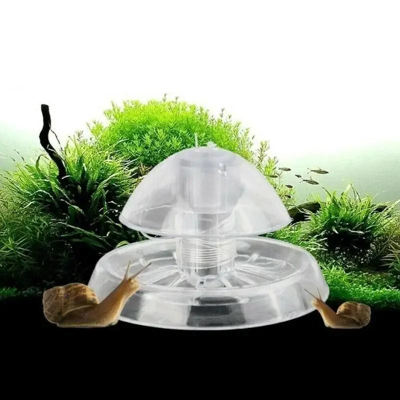 2026 New 6/8CM Clear Plastic S - Aquarium Planted Fish Tank ulasan dan harga