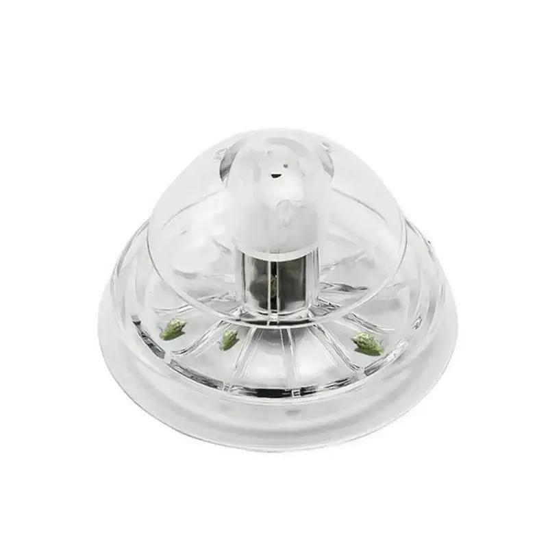 2026 New 6/8CM Clear Plastic S - Aquarium Planted Fish Tank ulasan dan harga
