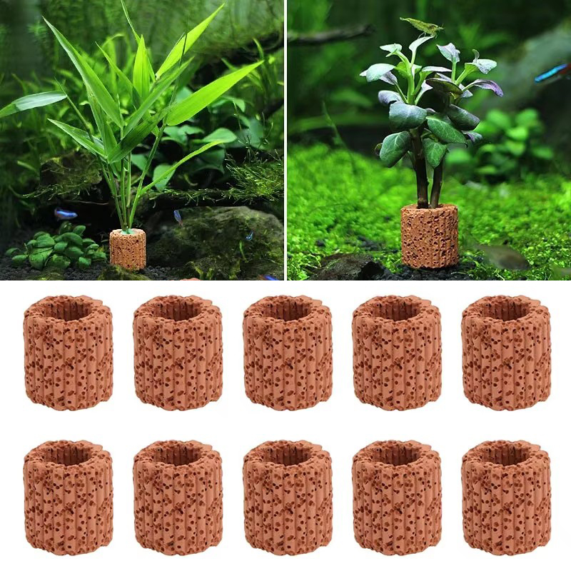 Aquatic Plant Fixed Ring for A - Aquarium Plant Design ulasan dan harga