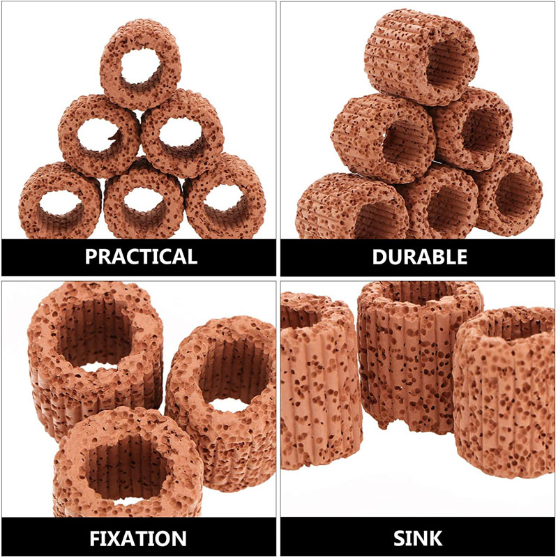 Aquatic Plant Fixed Ring for A - Aquarium Plant Design ulasan dan harga