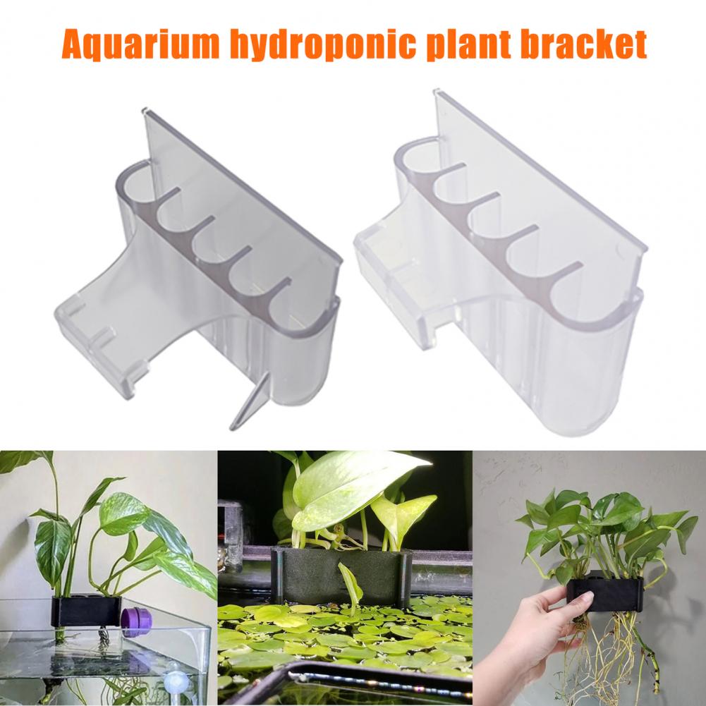 4.5/6.5cm Aquarium Plant Holde - Aquarium Planted Fish Tank ulasan dan harga