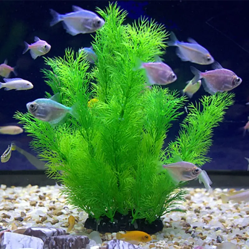 Artificial Aquarium Decor Plan - Aquarium Plant Design ulasan dan harga