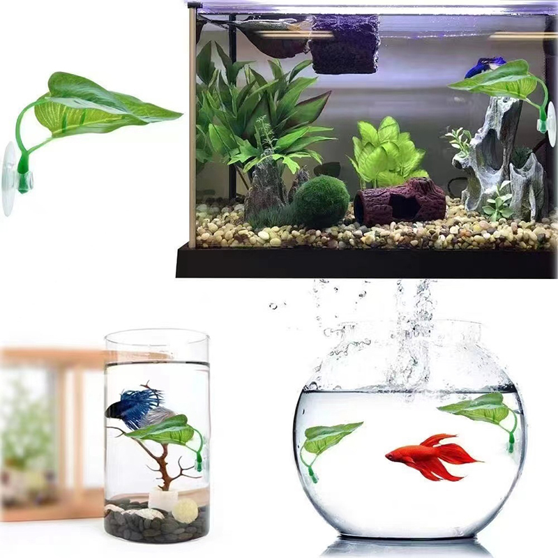 Artificial Aquatic Plant Aquar - Planted Aquarium Betta ulasan dan harga