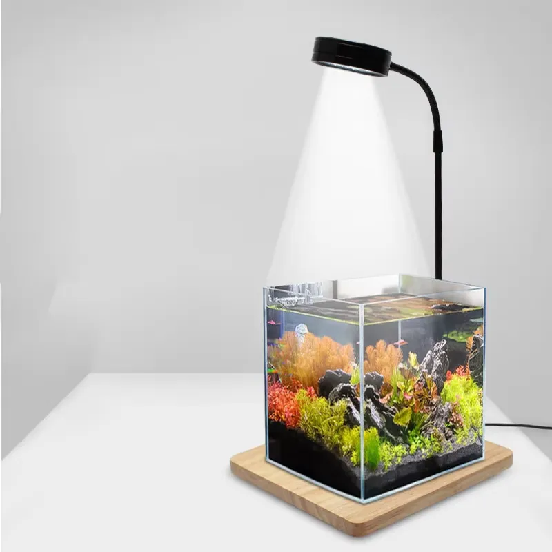 Full Spectrum LED Light with B - Planted Aquarium Betta ulasan dan harga