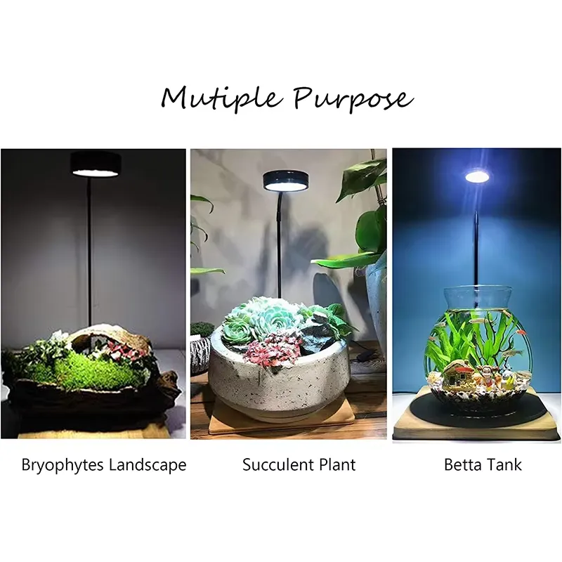 Full Spectrum LED Light with B - Planted Aquarium Betta ulasan dan harga