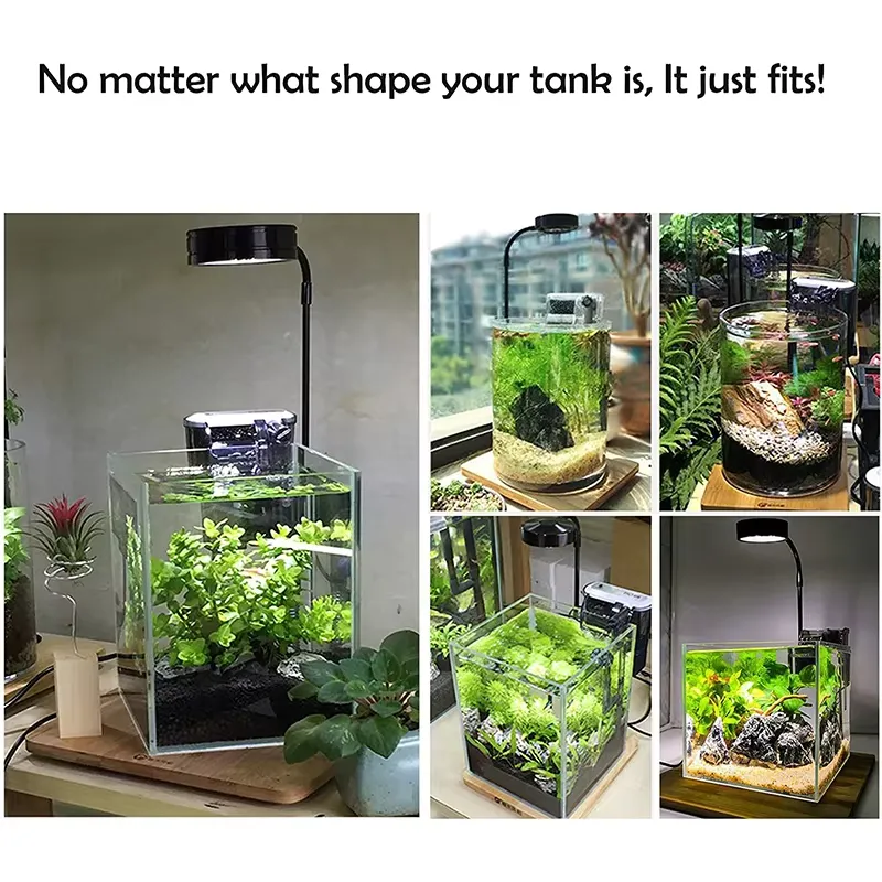Full Spectrum LED Light with B - Planted Aquarium Betta ulasan dan harga