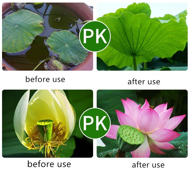 Special Garden Fertilizer For  - Aquarium Plant Liquid Fertilizer ulasan dan harga