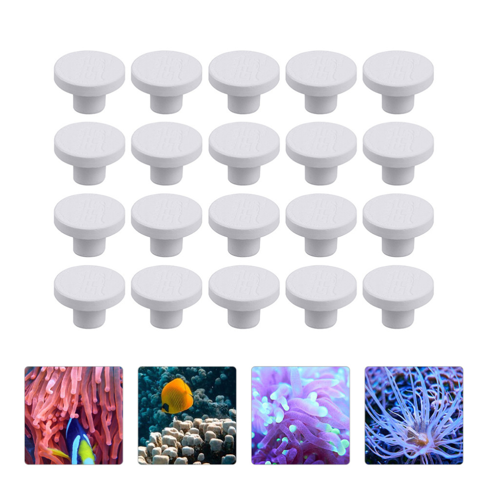 SPS Ceramic Coral Frag Plugs B - Aquarium Plant Design ulasan dan harga