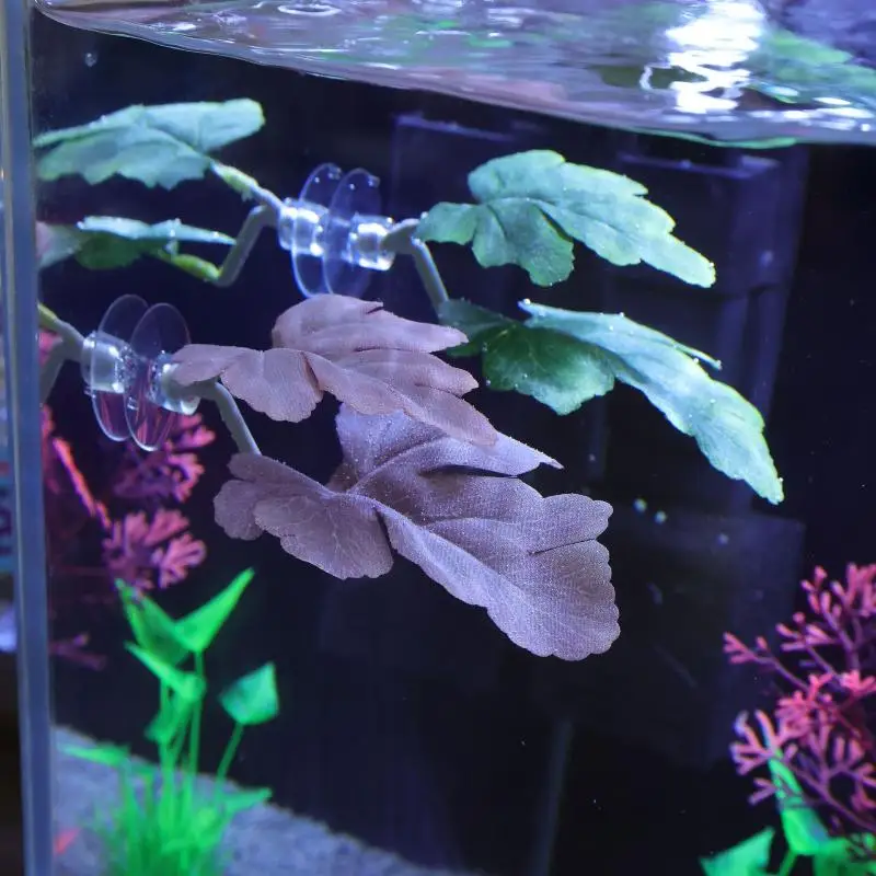 Betta Fish Leaf Hammock Aquari - Planted Aquarium Betta ulasan dan harga