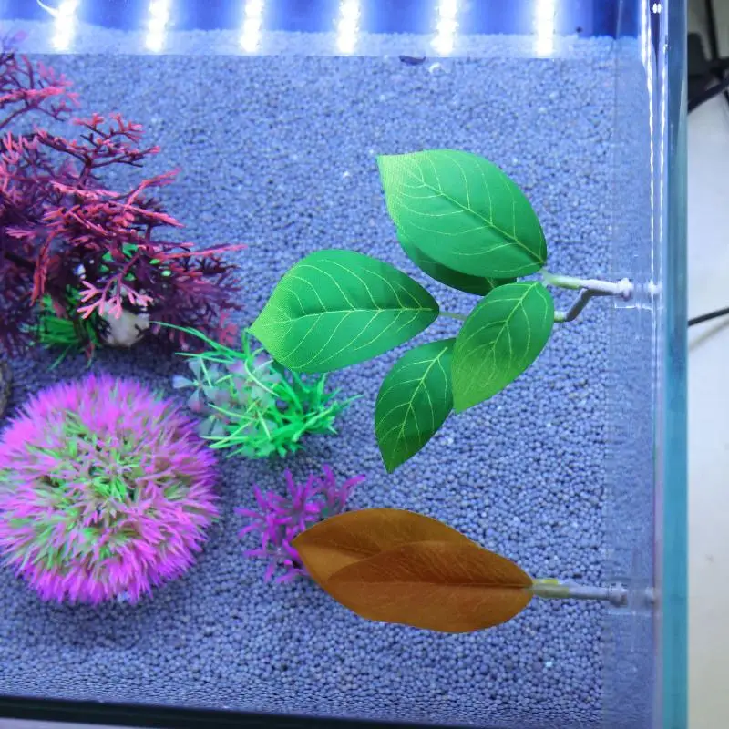 Betta Fish Leaf Hammock Aquari - Planted Aquarium Betta ulasan dan harga