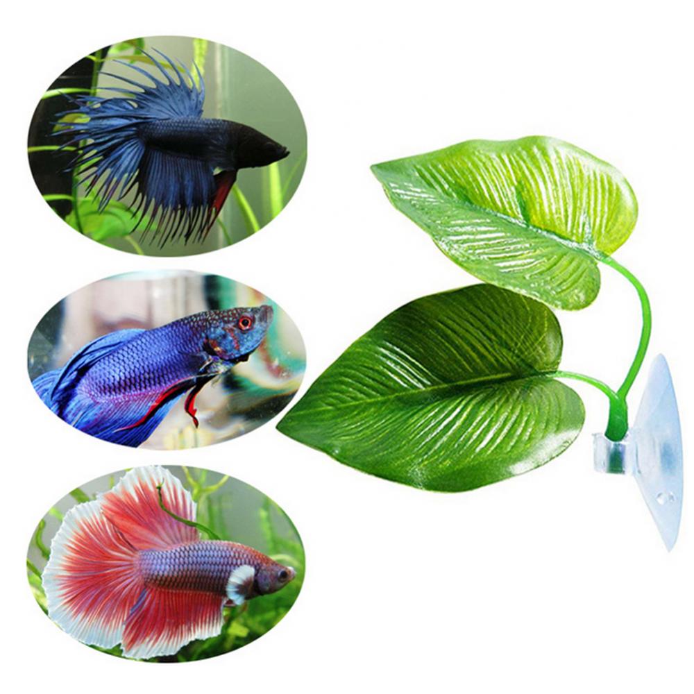 Artificial Plant Leaf Betta Ha - Planted Aquarium Betta ulasan dan harga