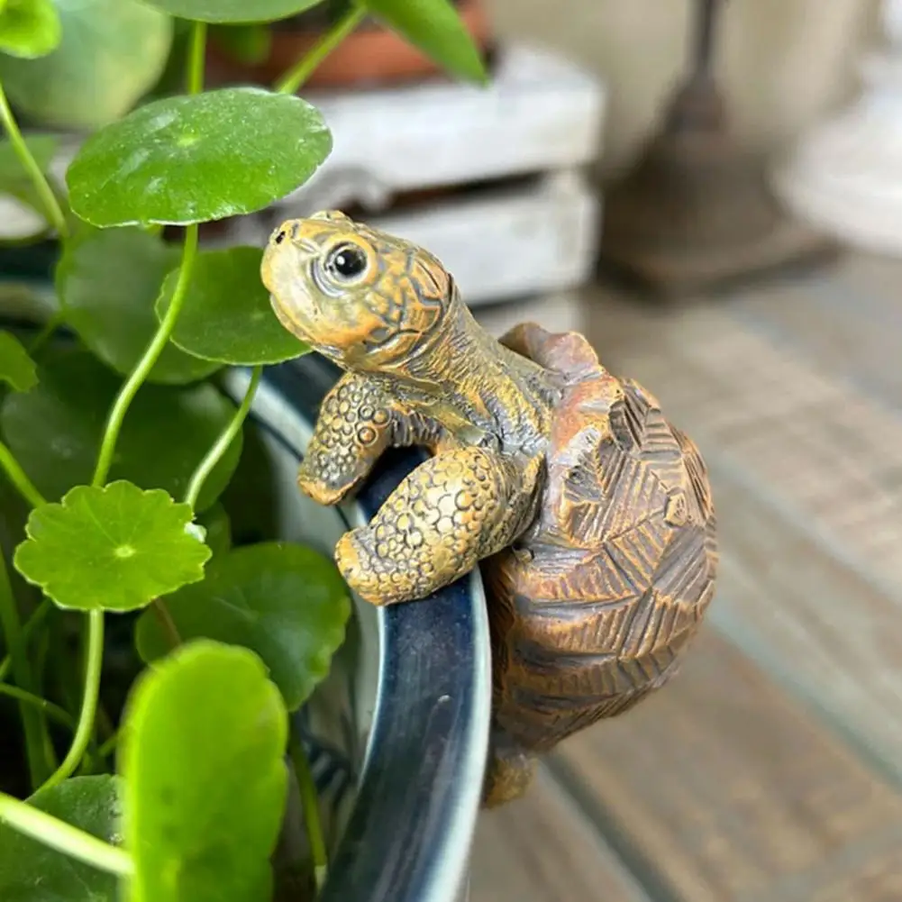 Fishing Turtle Hanging Turtle  - Aquarium Planted Fish Tank ulasan dan harga