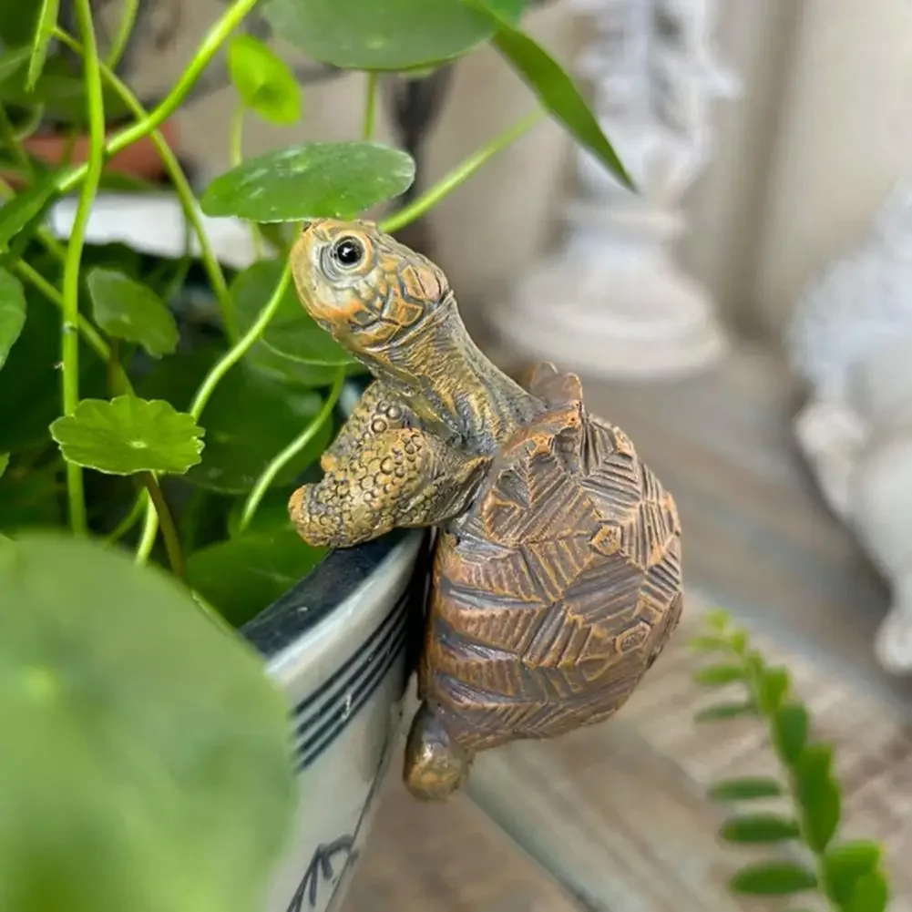 Fishing Turtle Hanging Turtle  - Aquarium Planted Fish Tank ulasan dan harga