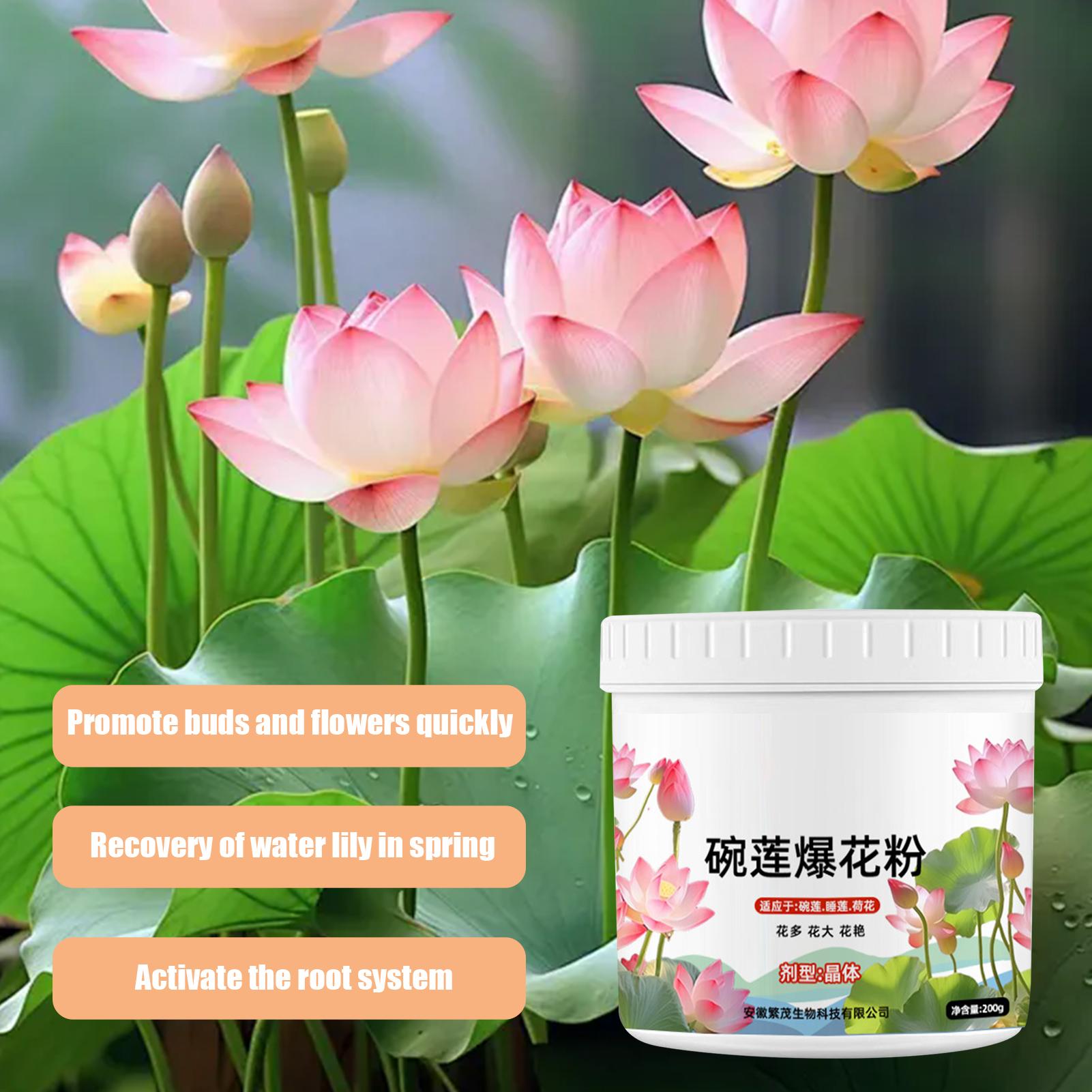 Aquatic Plant Food Water Lily  - Aquarium Plant Liquid Fertilizer ulasan dan harga