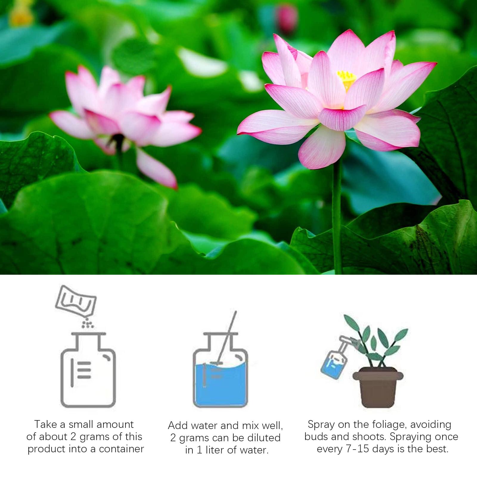 Aquatic Plant Food Water Lily  - Aquarium Plant Liquid Fertilizer ulasan dan harga