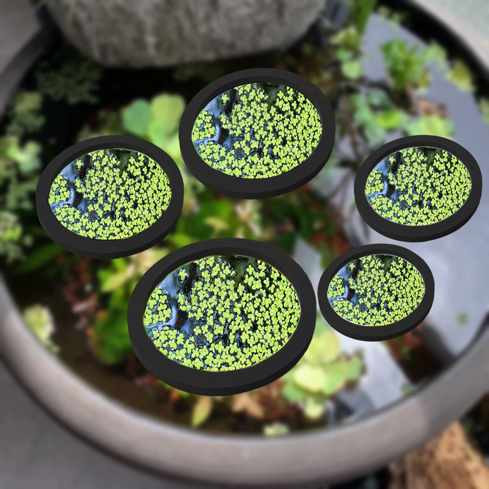 5Pcs EVA Fish Feeding Ring Aqu - Aquarium Planted Fish Tank ulasan dan harga
