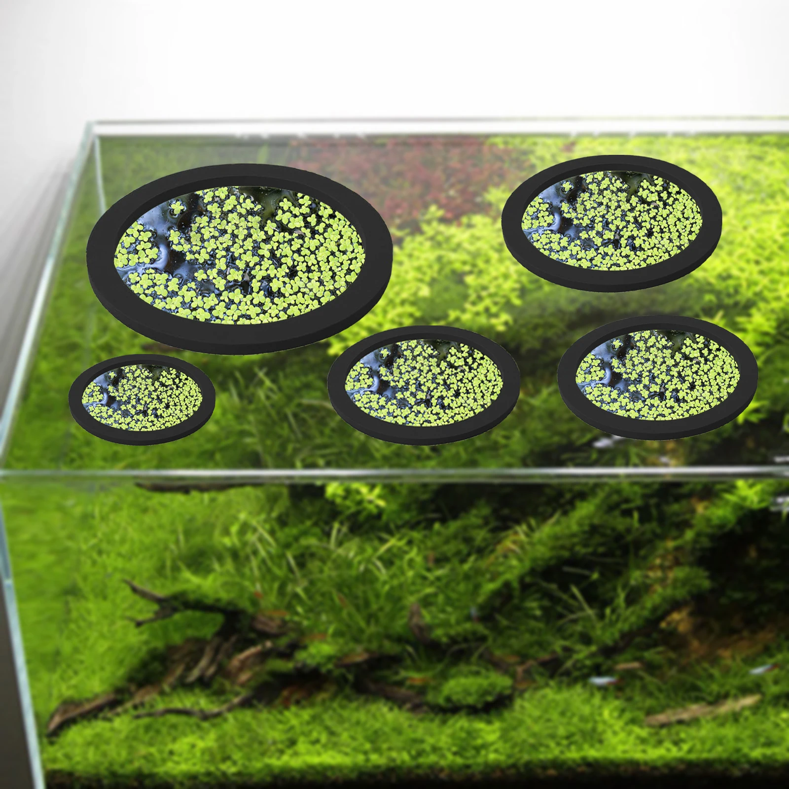5Pcs EVA Fish Feeding Ring Aqu - Aquarium Planted Fish Tank ulasan dan harga
