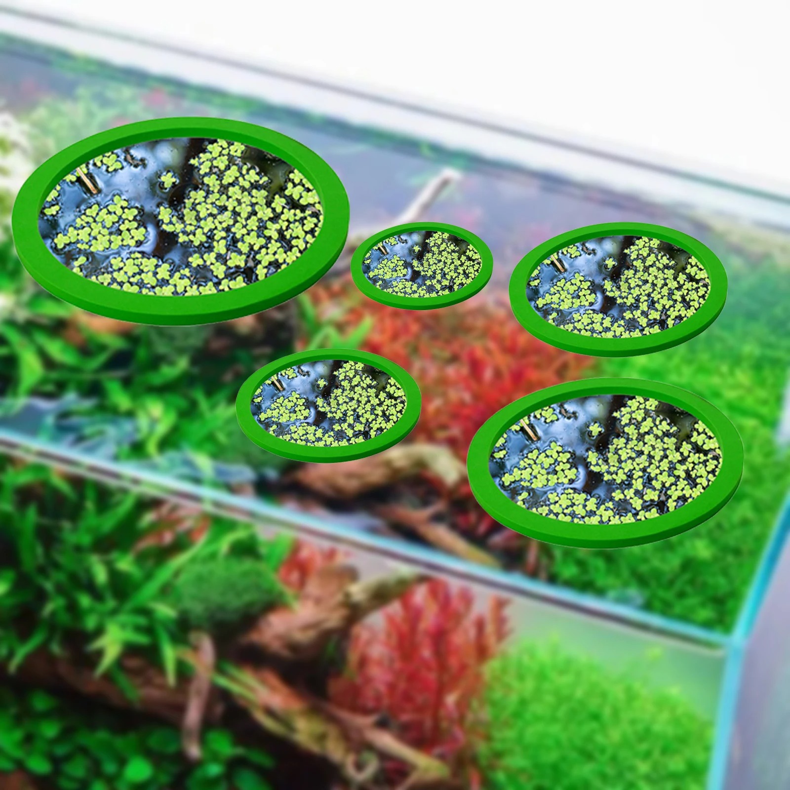 5Pcs EVA Fish Feeding Ring Aqu - Aquarium Planted Fish Tank ulasan dan harga