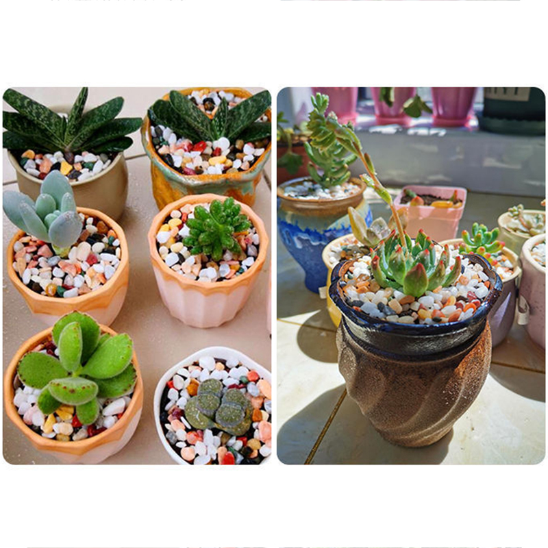 Natural Gravel Stone 200~1000g - Aquarium Plant Gravel ulasan dan harga