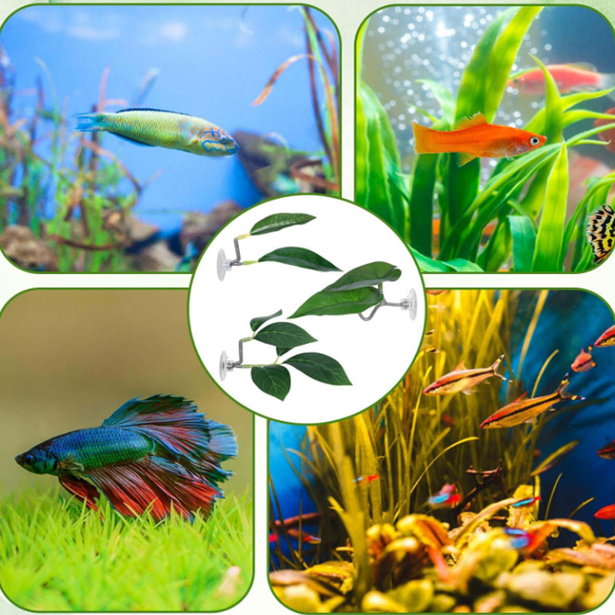 1 PC Betta Fish Hammock Soft A - Aquarium Plant Design ulasan dan harga