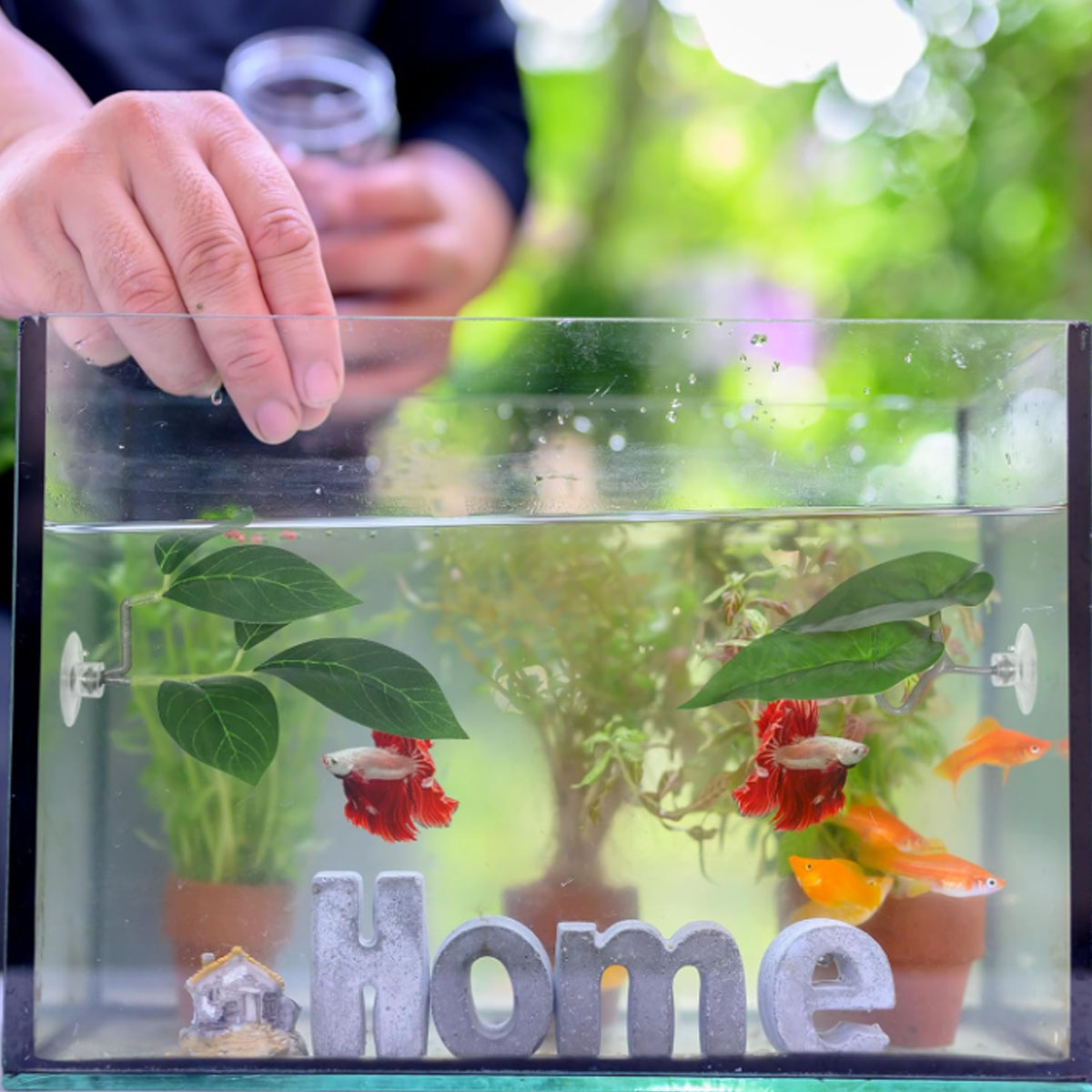 1 PC Betta Fish Hammock Soft A - Aquarium Plant Design ulasan dan harga