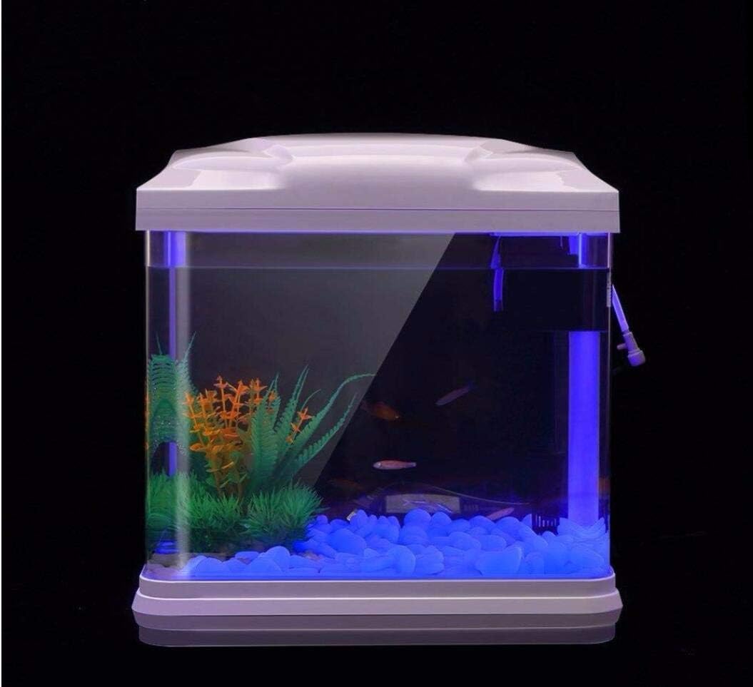 Fish Tank Rocks Glow Blue Pebb - Aquarium Planted Fish Tank ulasan dan harga