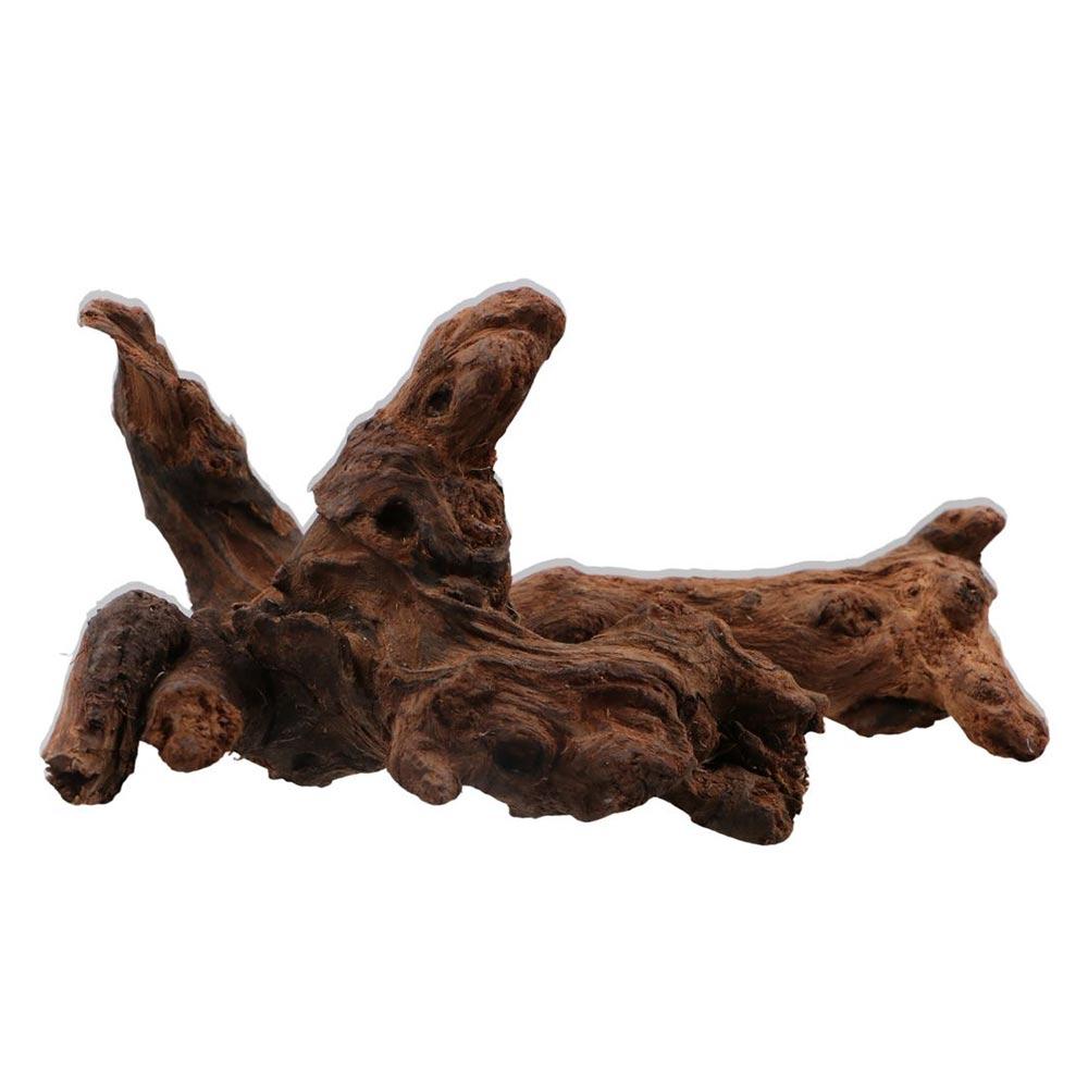 Creative Irregular Shape Coral - Aquarium Plant Design ulasan dan harga