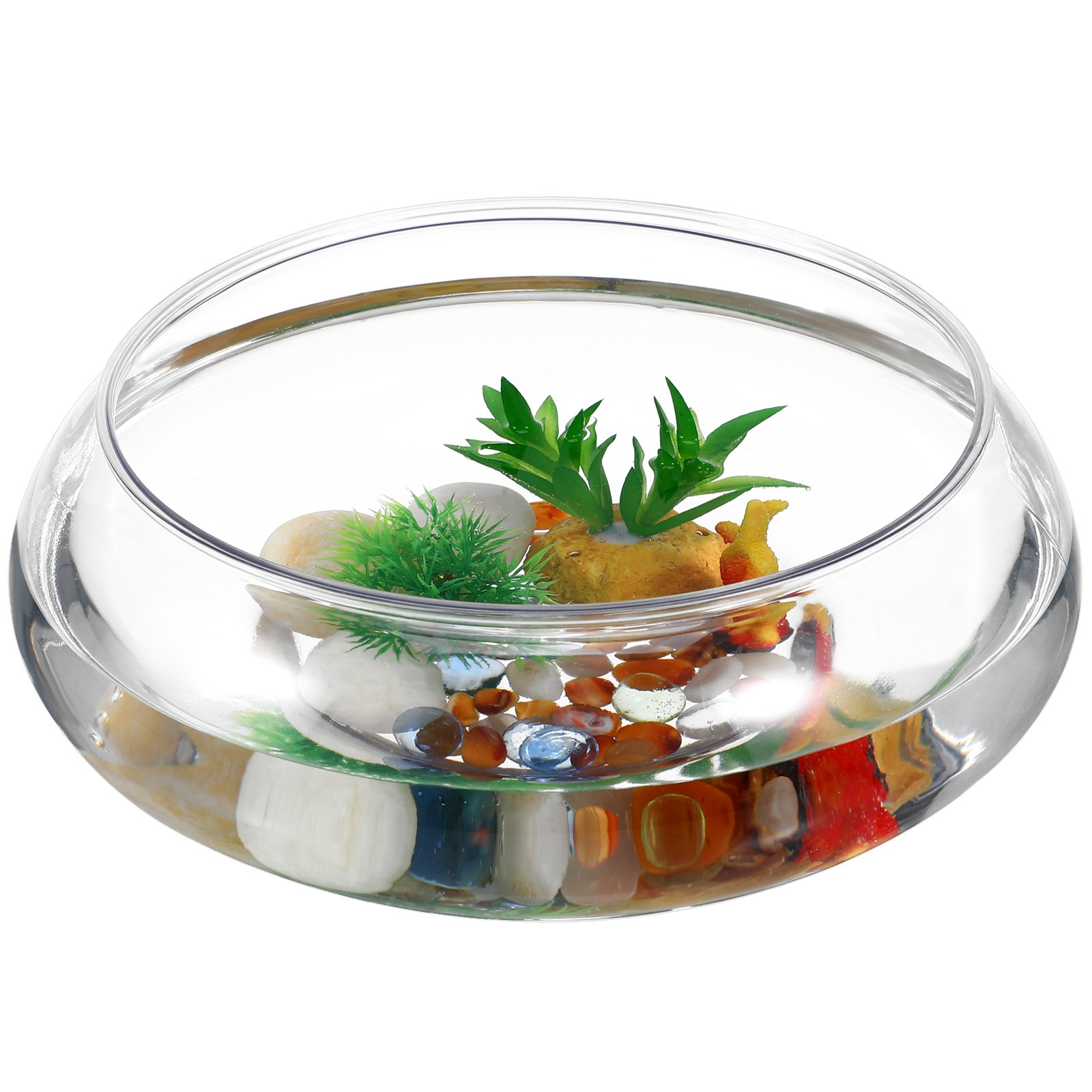 2800Ml Transparent Tabletop Aq - Planted Aquarium Betta ulasan dan harga