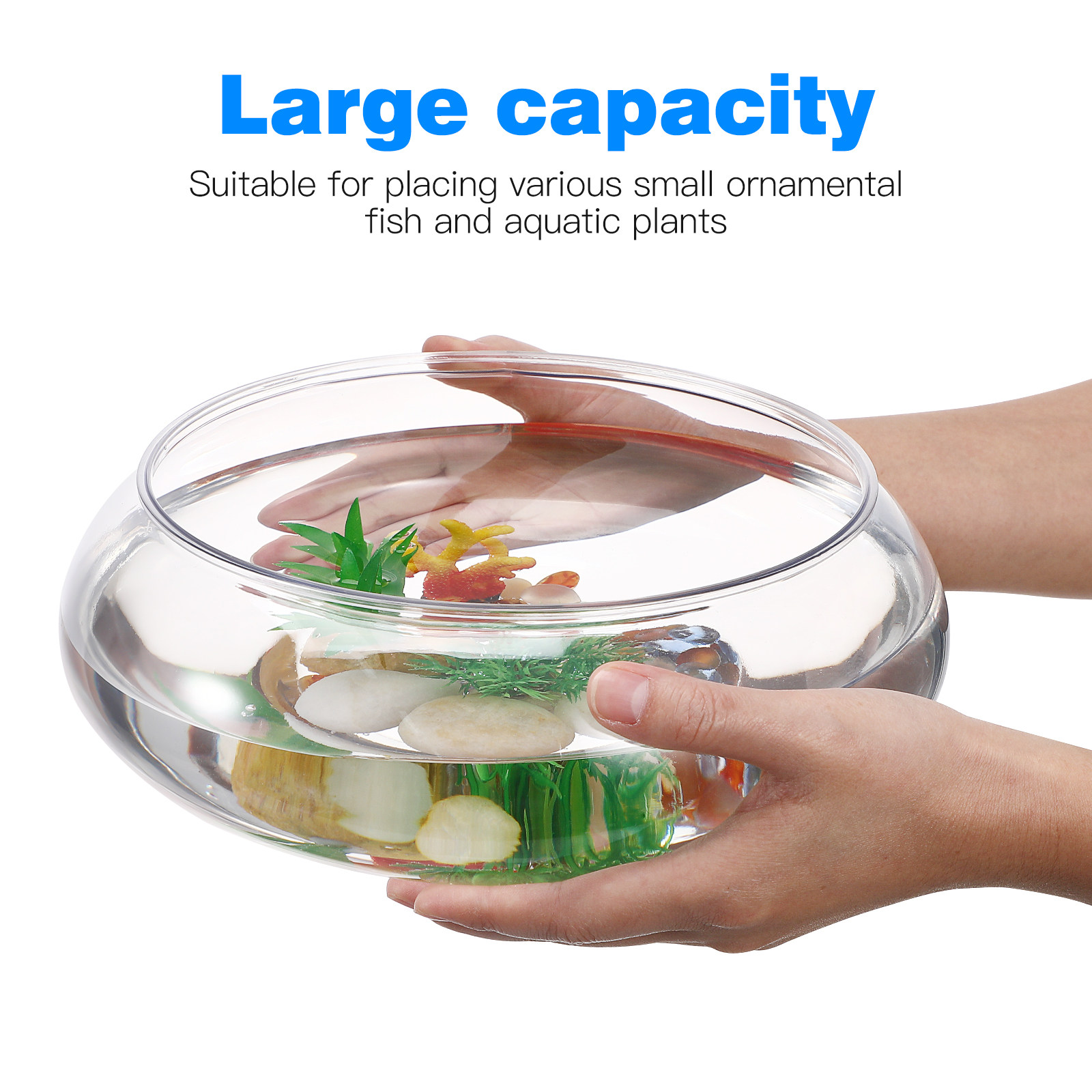 2800Ml Transparent Tabletop Aq - Planted Aquarium Betta ulasan dan harga