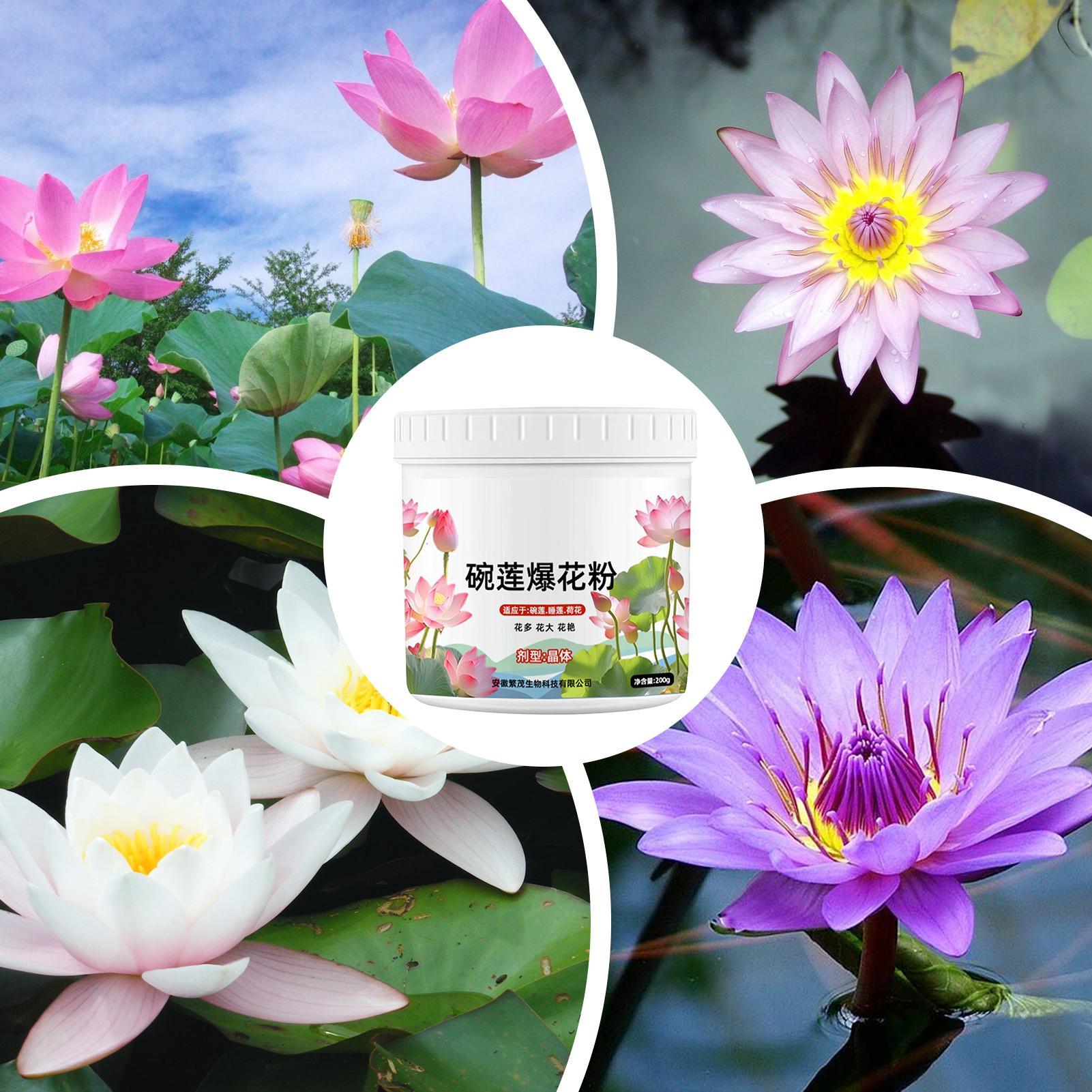 Aquatic Plant Fertilizer Water - Aquarium Plant Liquid Fertilizer ulasan dan harga