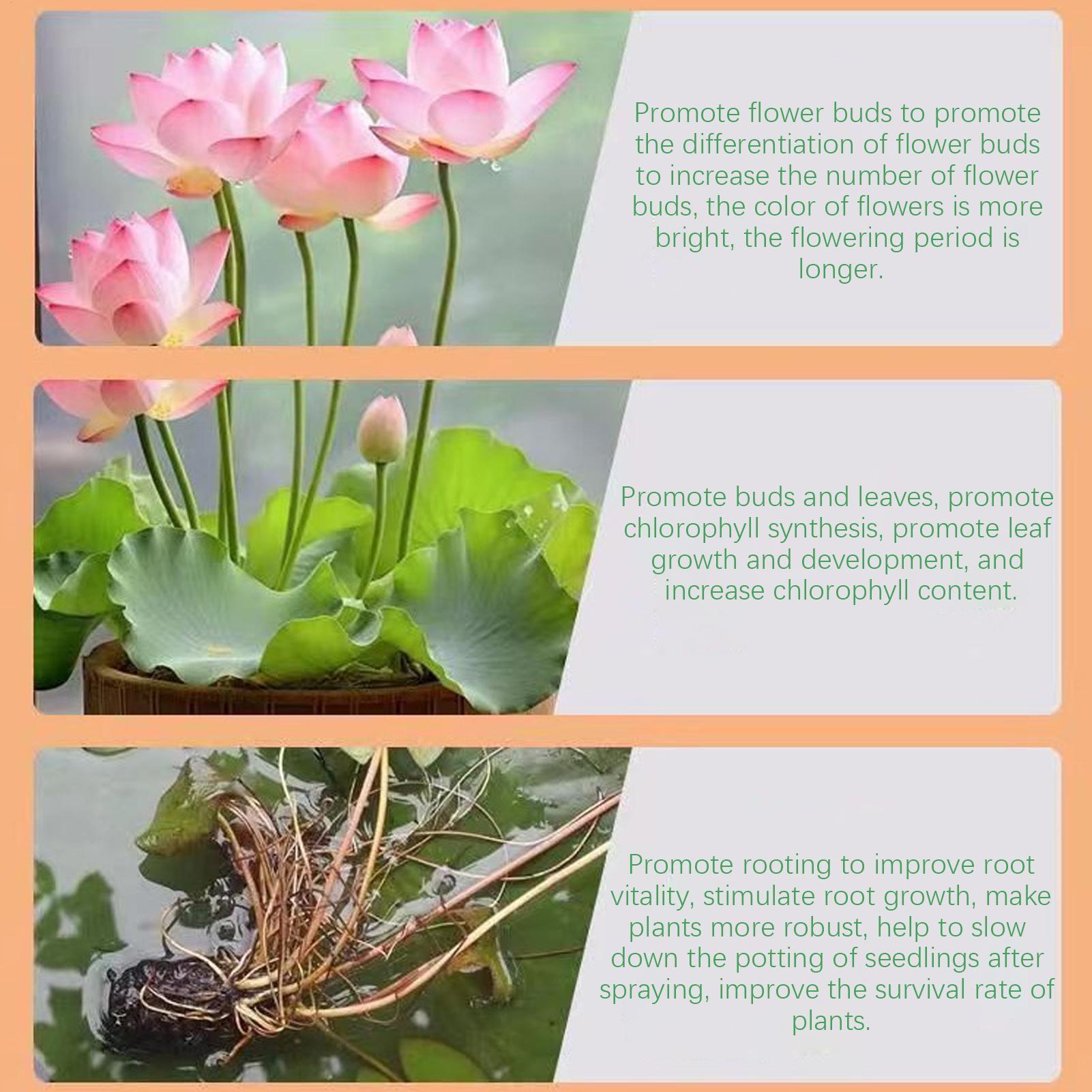 Aquatic Plant Fertilizer Water - Aquarium Plant Liquid Fertilizer ulasan dan harga
