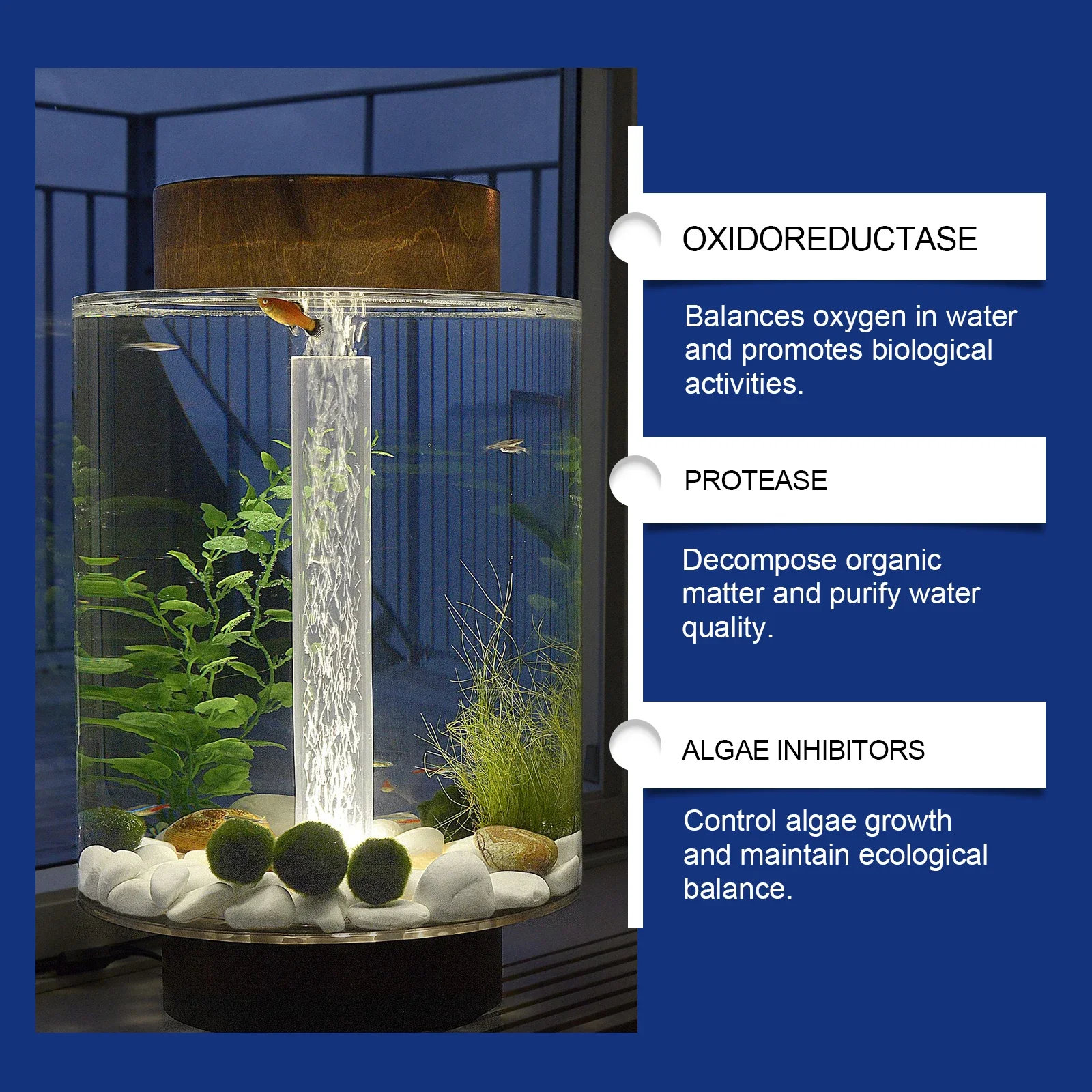 Aquarium Water Clarifier Fish  - Aquarium Plant Liquid Fertilizer ulasan dan harga