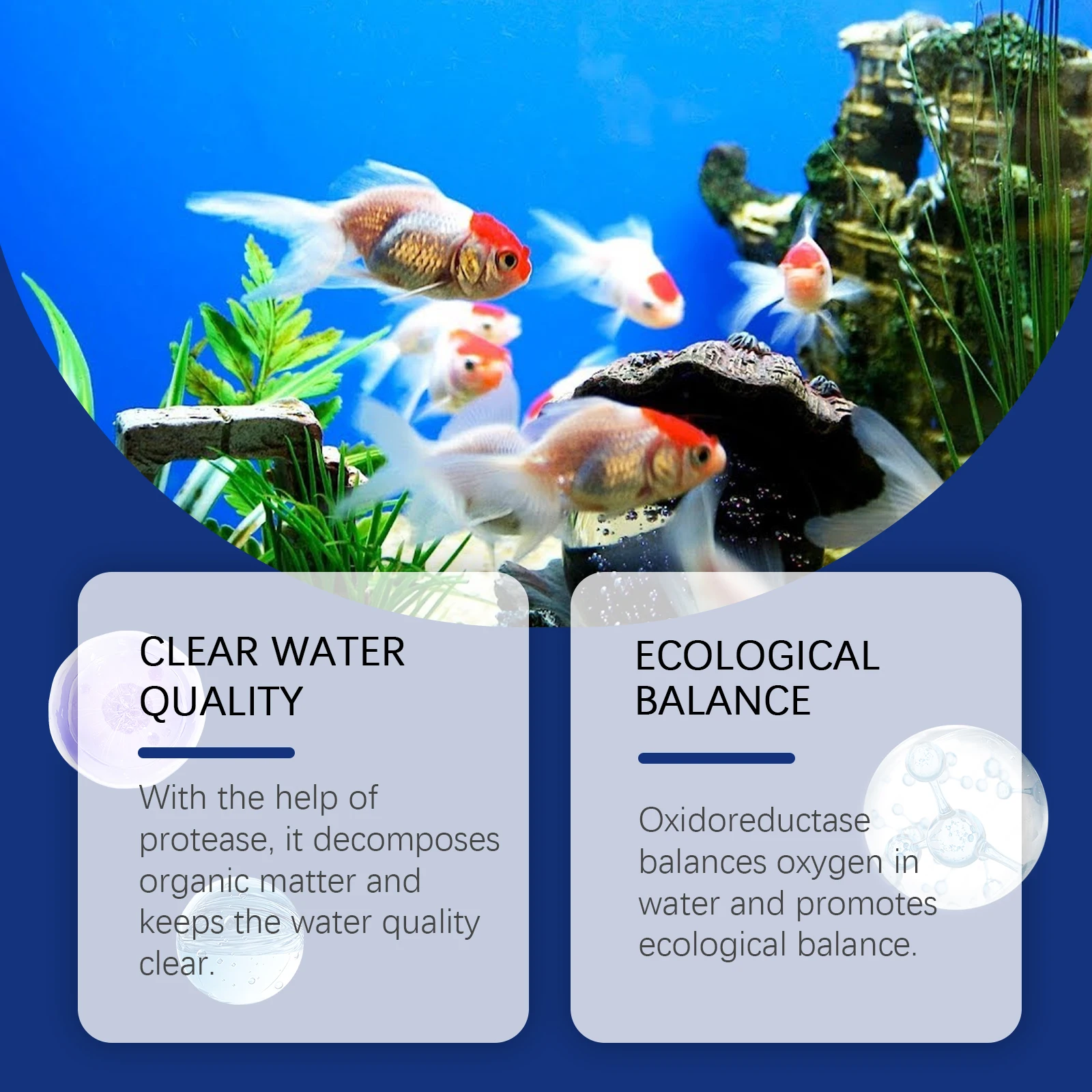 Aquarium Water Clarifier Fish  - Aquarium Plant Liquid Fertilizer ulasan dan harga