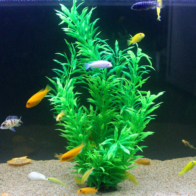 50CM Artificial Fish Tank Rare - Aquarium Plant Design ulasan dan harga