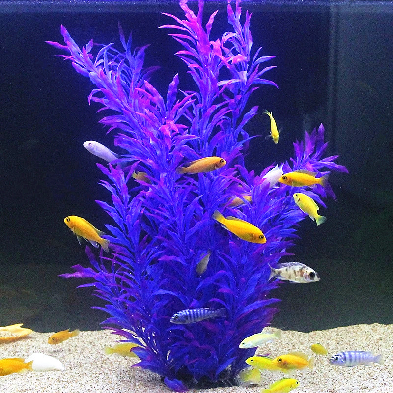 50CM Artificial Fish Tank Rare - Aquarium Plant Design ulasan dan harga