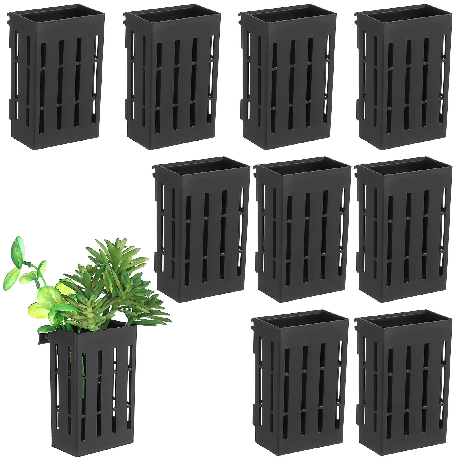10Pcs Aquatic Plant Basket Han - Aquarium Planted Plants ulasan dan harga