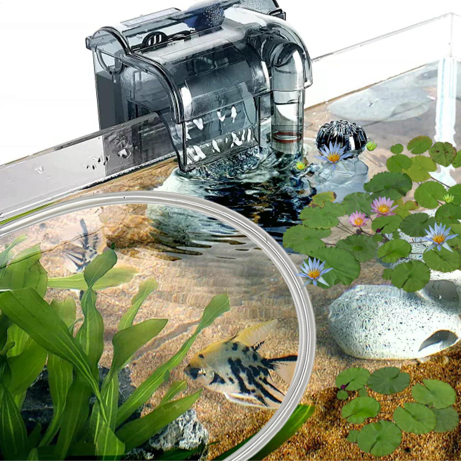 Aquarium Floating Plant Barrie - Planted Aquarium Betta ulasan dan harga