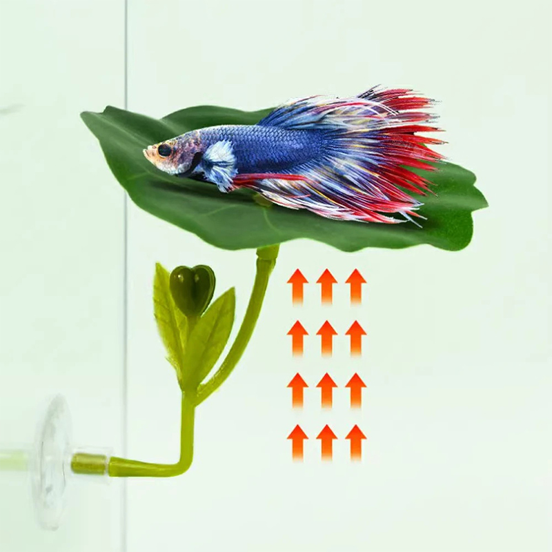 1 Pc For Betta Fish Stress-Red - Planted Aquarium Betta ulasan dan harga